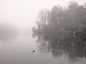 River In Mist von Lena Weisbek Miniaturansicht