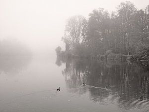 River In Mist