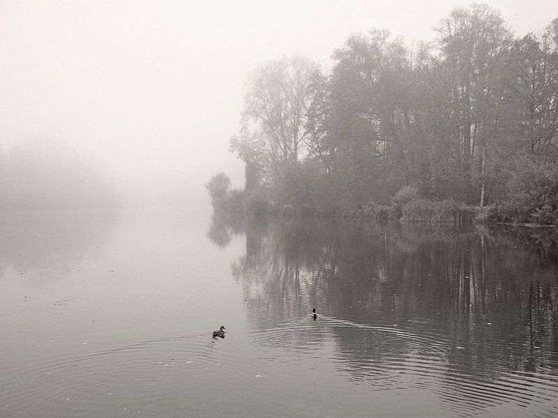 River In Mist von Lena Weisbek