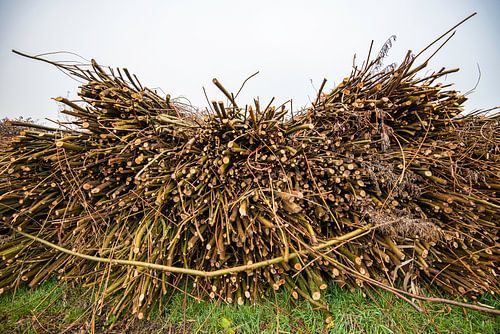 Herfstlandschappen Haar-Zuijlens, Utrecht