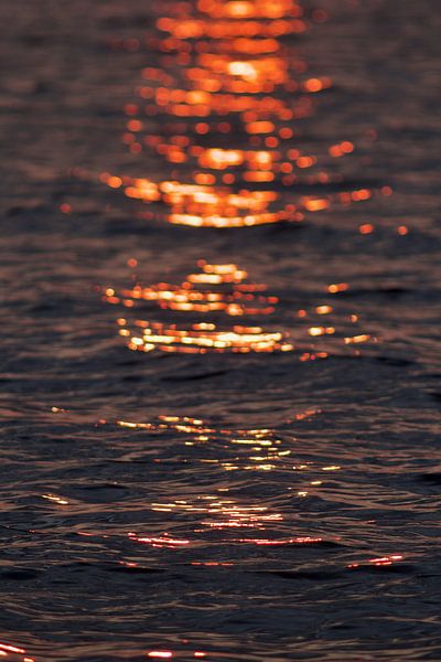 Coucher de soleil Lauwersmeer 2 par Dalmuro