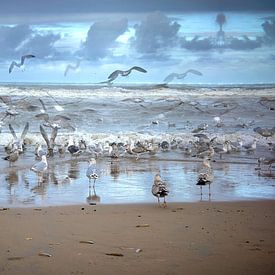 Seagulls and angels by Gevk - izuriphoto
