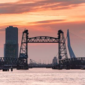 Rotterdamer Brücke die Hef 2 von Björn van den Berg