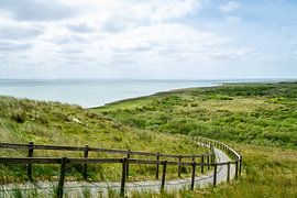 Natuur op Ameland