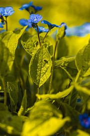 Rathenow "City of Optics