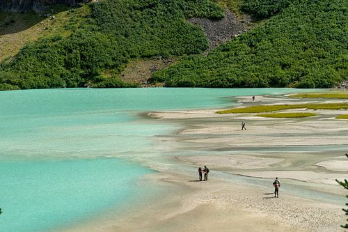 Ufer des Lake Louise mit Waldrand