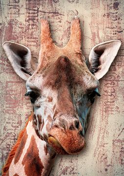 Porträt einer Giraffe von Bert Hooijer