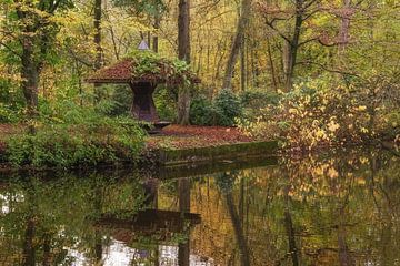 Herfst in het Bergisches Land,Ohligser Heide van Peter Eckert