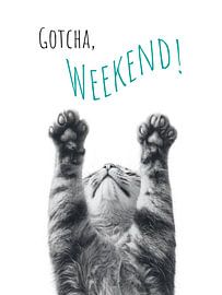 Coole Katze - Wochenende von Melanie Viola