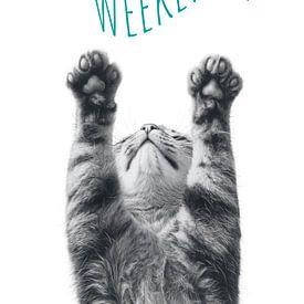 Coole Katze - Wochenende von Melanie Viola