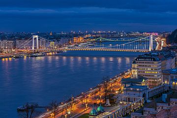 View over the Danube by Bea Budai