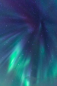 Northern Lights in the night sky over the Lofoten Islands in Nor