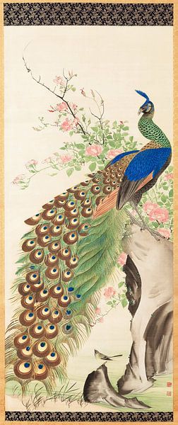 Peacock and flowers by Moonheart Artworks