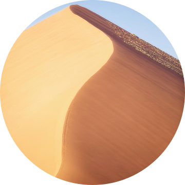 Dune 45 van Fotografie Egmond