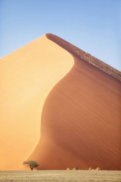 Dune 45 par Fotografie Egmond