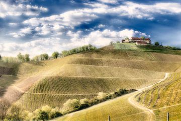 Le château de Staufenberg au milieu des vignobles sur Matthias Edition