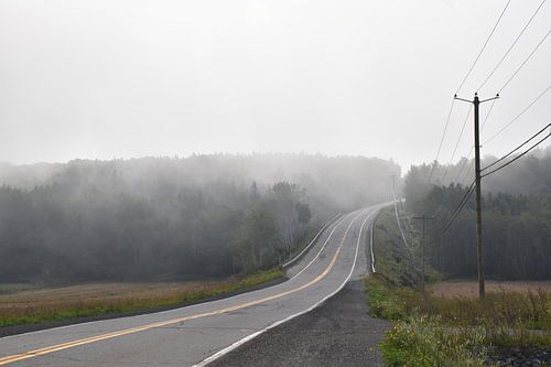 Eine Landstraße an einem Sommermorgen