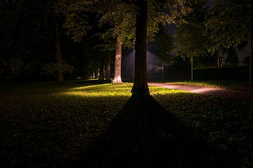 Avondwandeling in het park