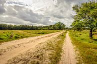 Zandweg door natuurgebied Strijbeekse Heide van Ruud Morijn thumbnail