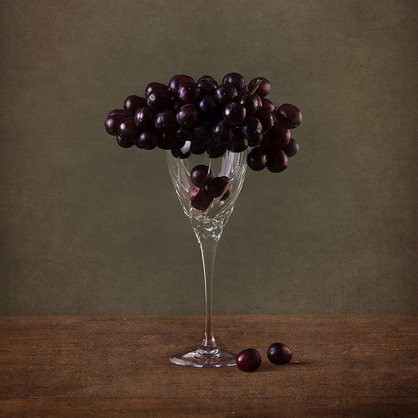 Don&#039;t try to fit in 1 by Oranje Tulp