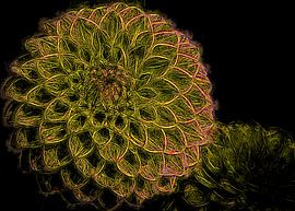 Dahlie grün von Rietje Bulthuis