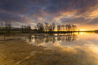 Colorful start to the day by Jan Koppelaar thumbnail