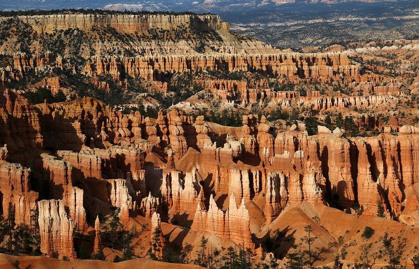 Bryce Canyon par Matthias Brix