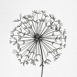 Paardenbloem van Color Square