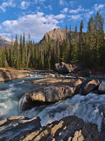 Rivière Kicking Horse par Timon Schneider