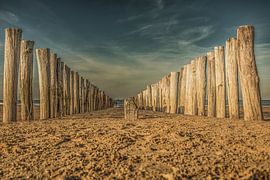 groynes in the sun at east chapel by anne droogsma