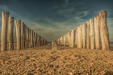 groynes in the sun at east chapel by anne droogsma