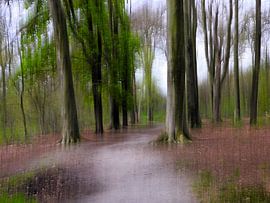 Dromerig bos van Anja Oosterwaal Fine Art Fotografie