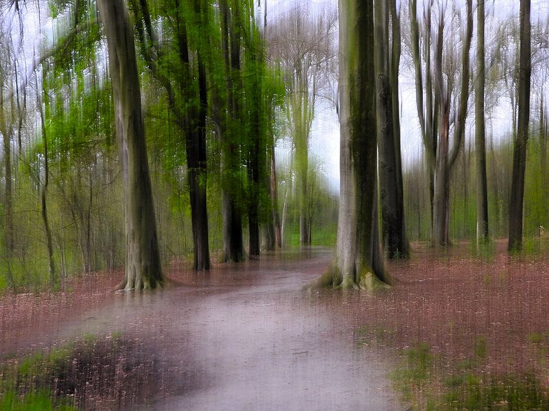 Dreamy forest by Anja Oosterwaal Fine Art Fotografie