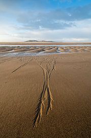 Low tide on the Zwin