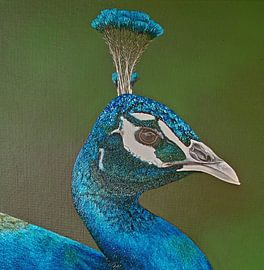 Pauw II schilderij van Russell Hinckley