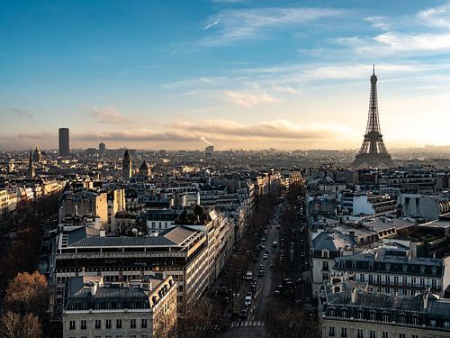Uitzicht op Parijs met de Eiffeltoren