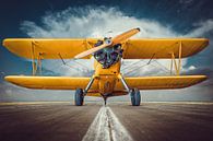 biplane by Frank Peters thumbnail