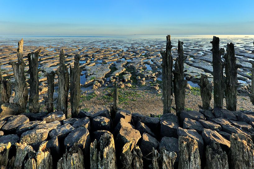 Eb Waddenzee par Willem van Leuveren Fotografie