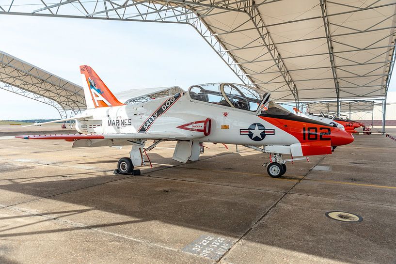 T-45 Goshawk  by Jaap van den Berg