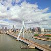 Erasmusbrücke und Skyline von Rotterdam von Michael Valjak