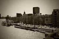 Rotterdam à l'heure de la couronne