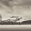US Navy North American T-6 Texan van KC Photography