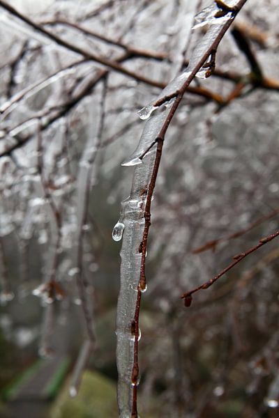 Art of Nature 4 by t.ART