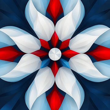 Draaiende Bloemen in de Driekleur | Kaleidoscoop van Karina Brouwer