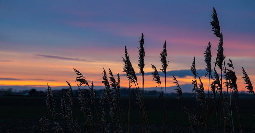 Sunrise, Zeeland by Nynke Altenburg