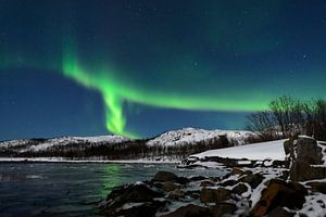Northern Lights in the night sky over Senja island in Northern Norway