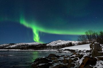 Noorderlicht in de nachtelijke hemel boven Senja eiland in Noord-Noorwegen van Sjoerd van der Wal