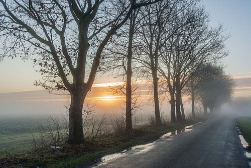 Nebliger Morgen im Polder von Ruud Morijn
