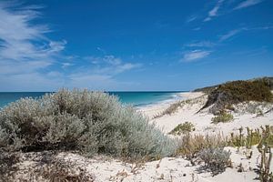 Capricorn Beach
