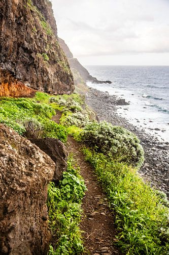 Madeiras Nordküste mit Wanderweg, Felsenstrand und Meer von Eric van Nieuwland